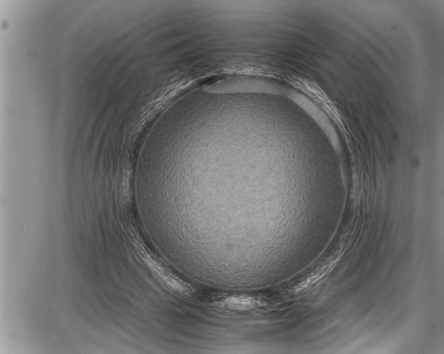 X0000087640441200705181529