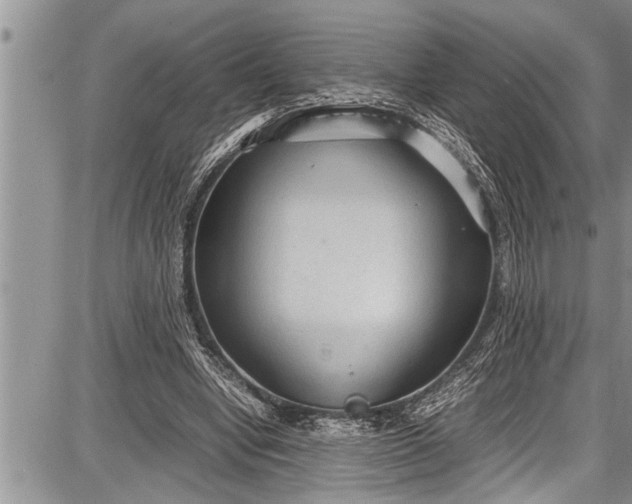 X0000087640442200705181529