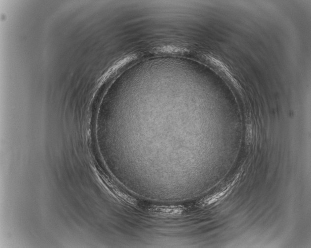 X0000087640443200705181529