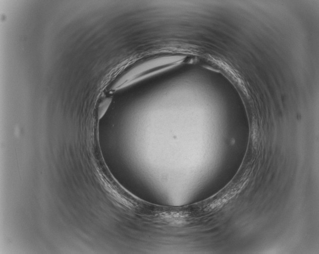 X0000087640445200705181529