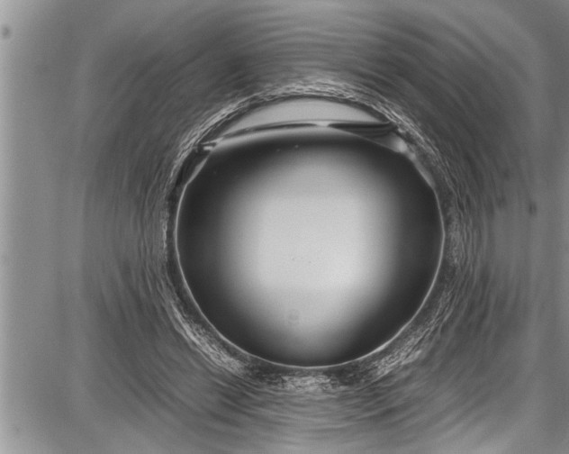 X0000087640446200705181529