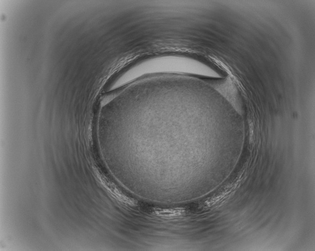 X0000087640447200705181529