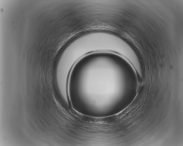 X0000087640448200705181529