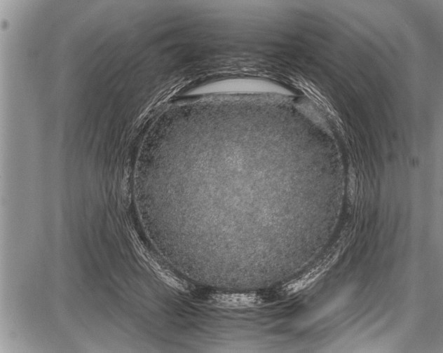 X0000087640449200705181529