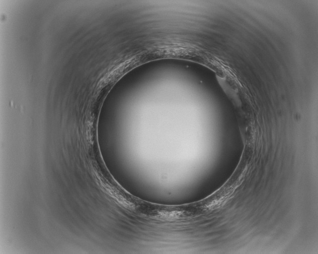 X0000087640450200705181529