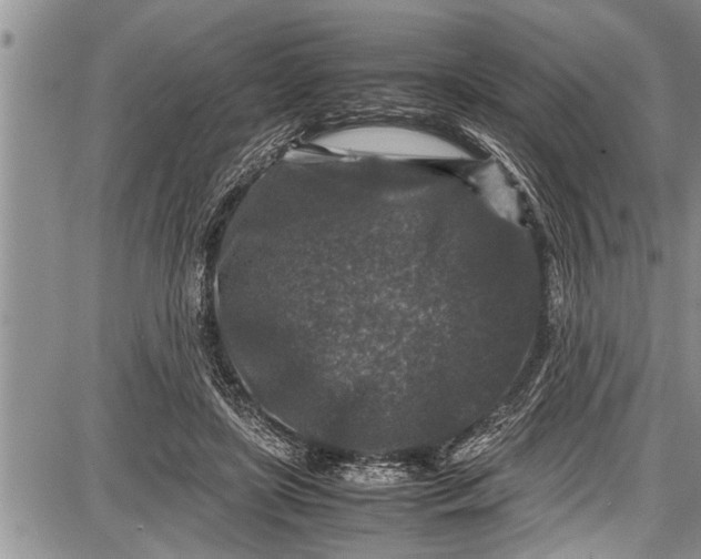 X0000087640451200705181529