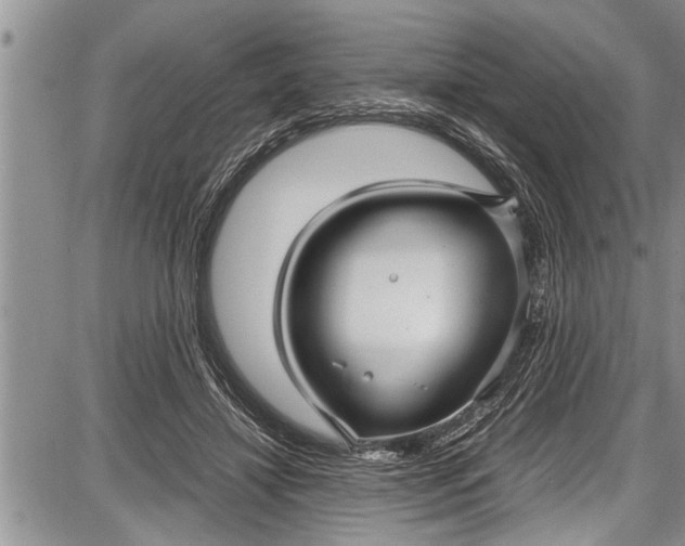 X0000087640452200705181529