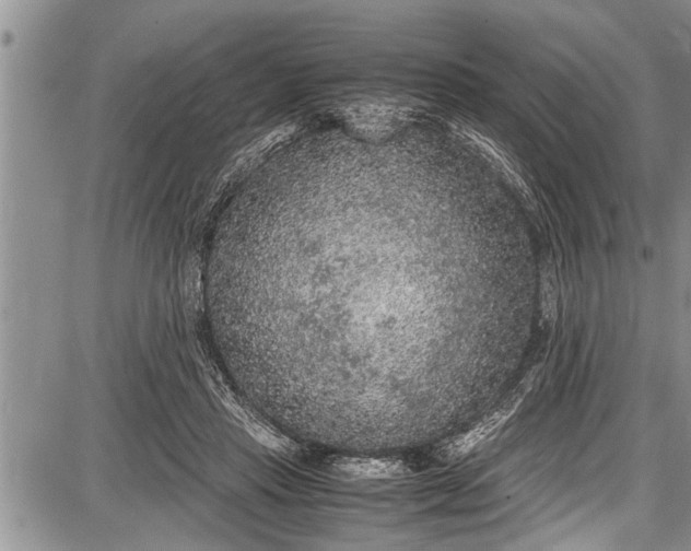 X0000087640453200705181529