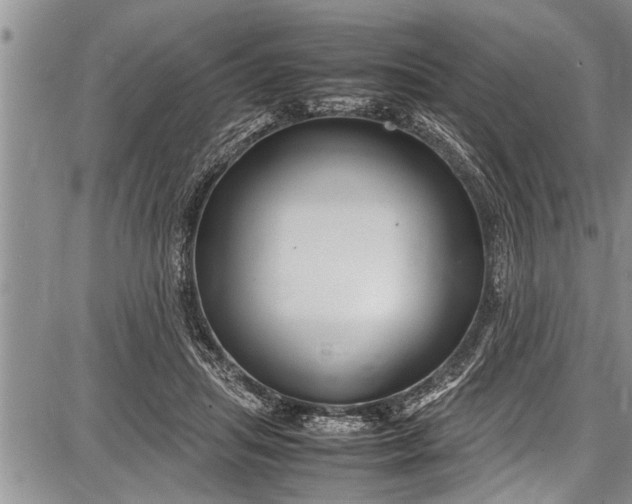 X0000087640455200705181530