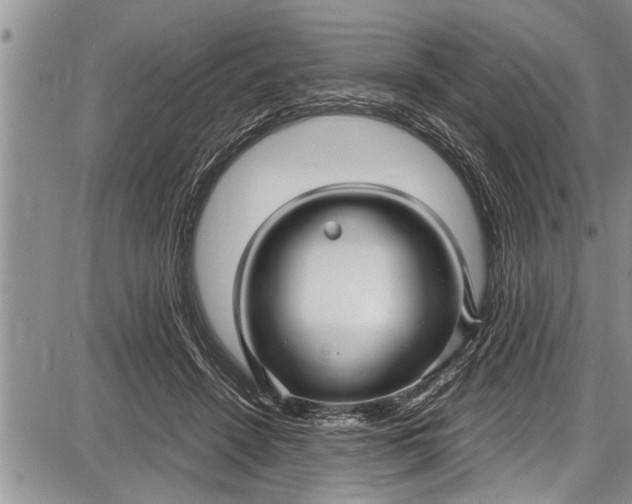 X0000087640456200705181530