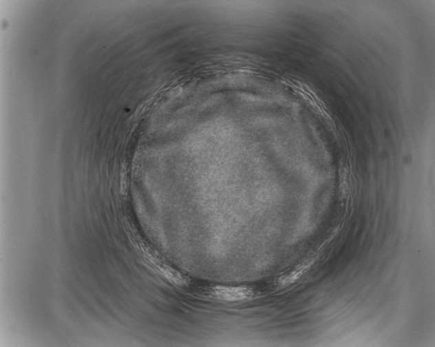 X0000087640457200705181530