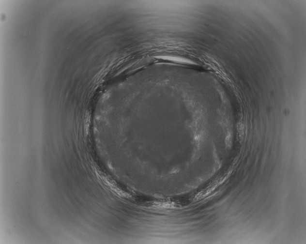 X0000087640458200705181530