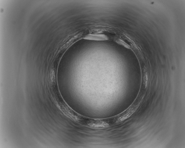 X0000087640459200705181530