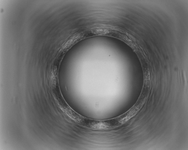 X0000087640460200705181530