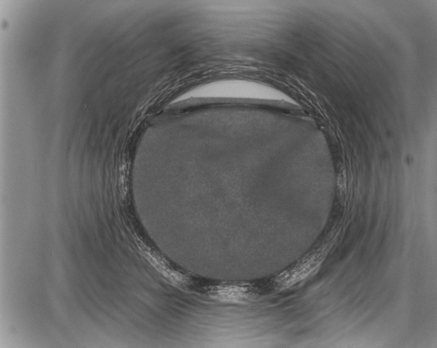 X0000087640462200705181530