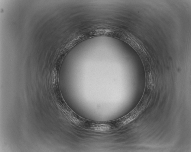 X0000087640463200705181530