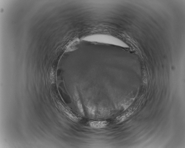 X0000087640465200705181530