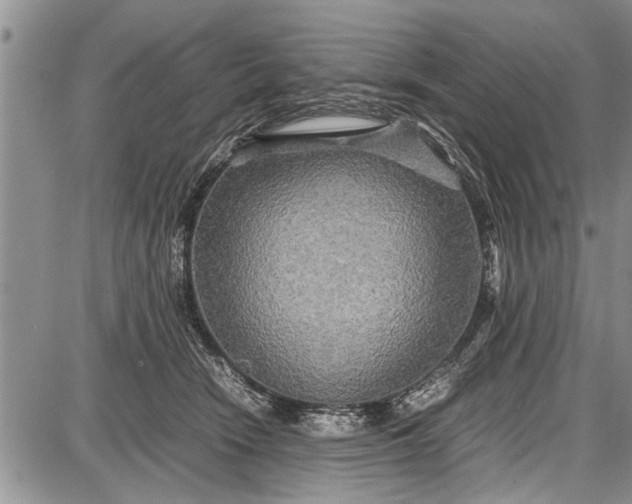 X0000087640466200705181530