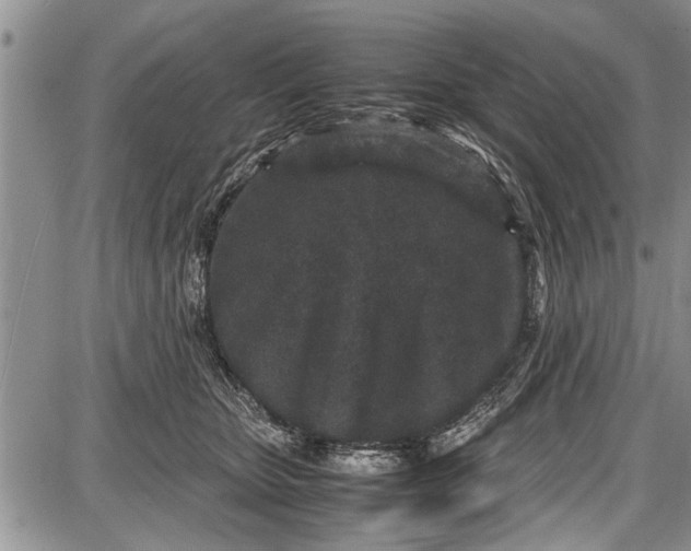 X0000087640467200705181530