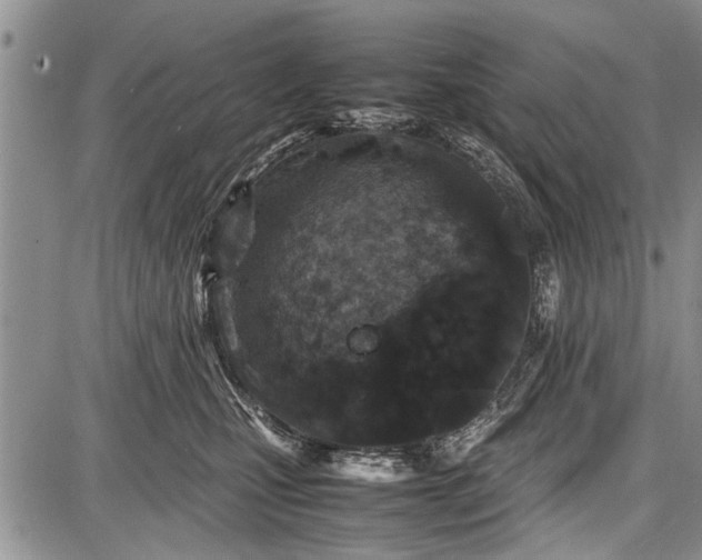 X0000087640471200705181530