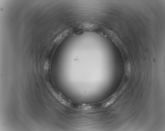 X0000087640472200705181530