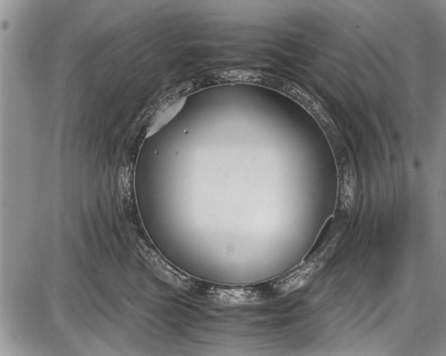 X0000087640473200705181530