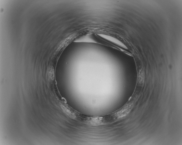 X0000087640474200705181530