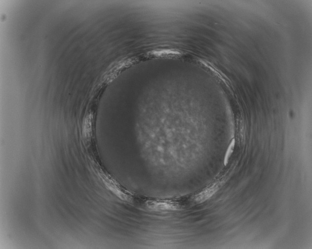 X0000087640475200705181530