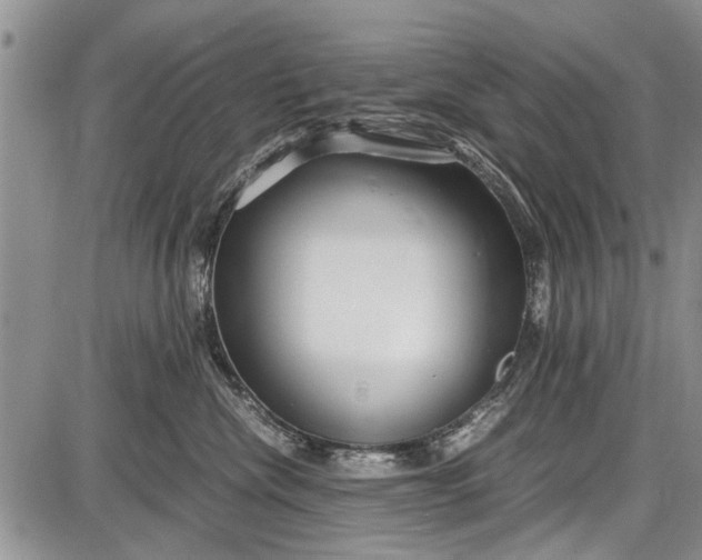 X0000087640476200705181530