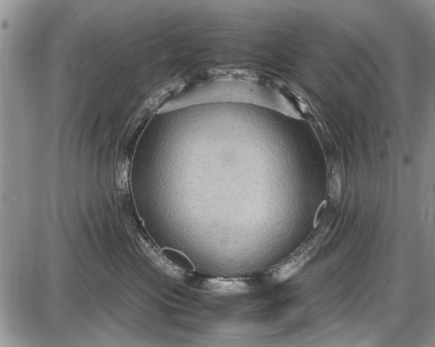 X0000087640477200705181530