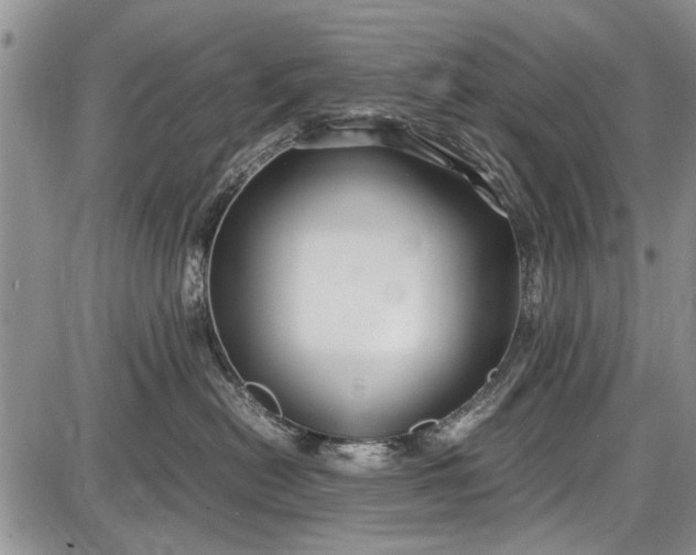 X0000087640478200705181530