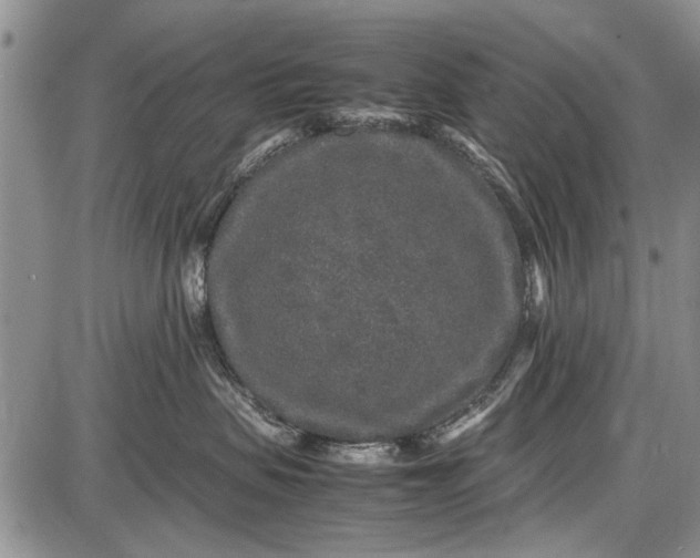 X0000087640479200705181530