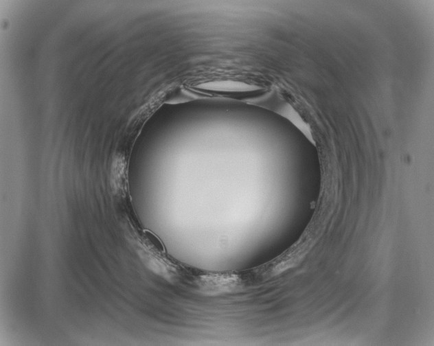 X0000087640480200705181530