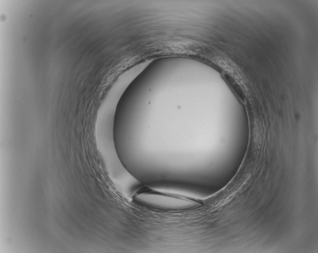 X0000087640481200705181529