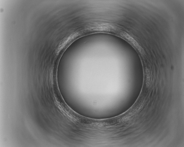 X0000087640482200705181529