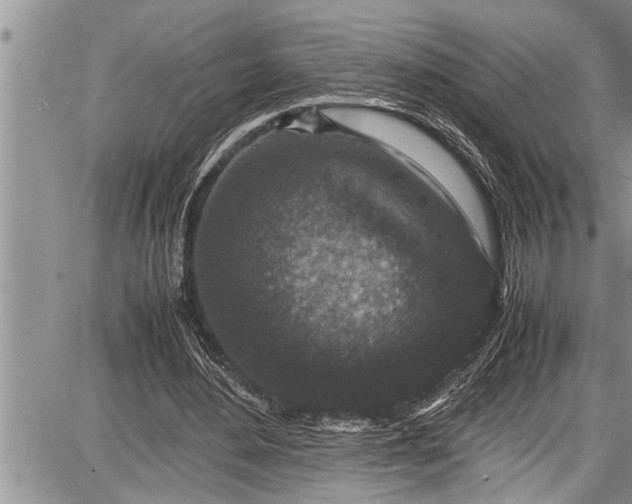 X0000087640484200705181529