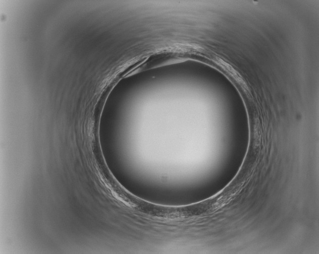 X0000087640485200705181529