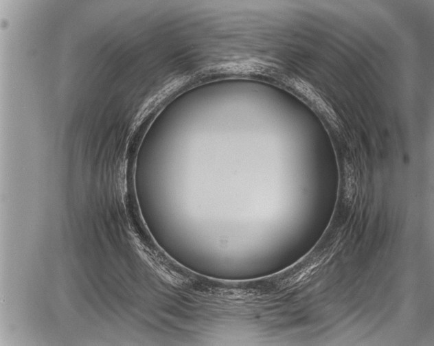 X0000087640486200705181529