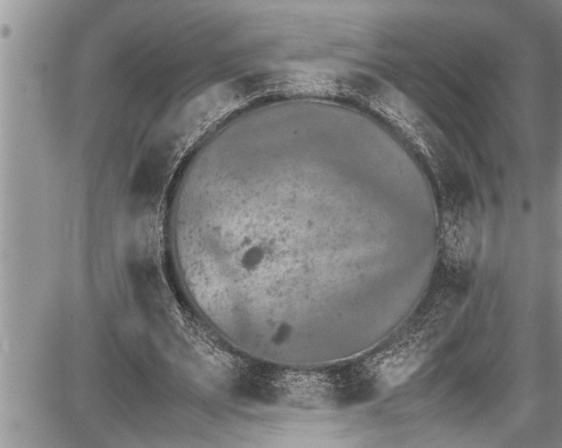 X0000087640487200705181529