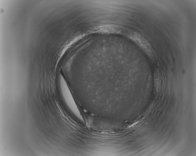 X0000087640488200705181529