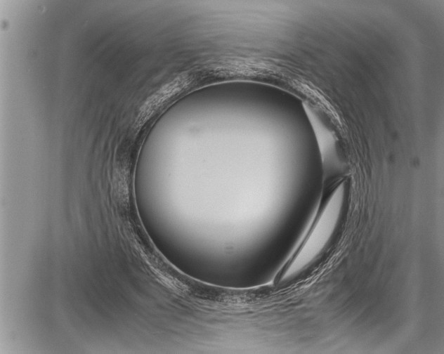 X0000087640489200705181529