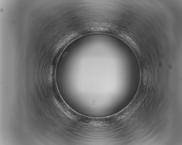 X0000087640490200705181529