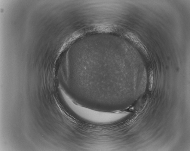 X0000087640492200705181529