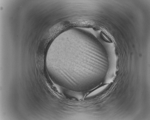 X0000087640493200705181529