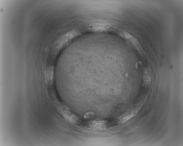 X0000087640495200705181529