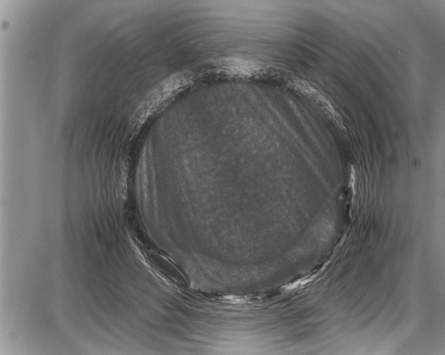 X0000087640496200705181529