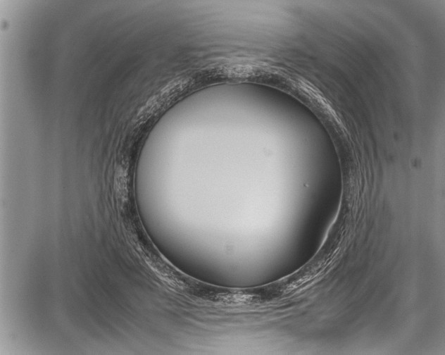 X0000087640497200705181529