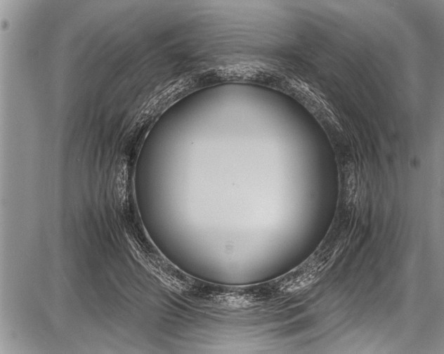 X0000087640498200705181529