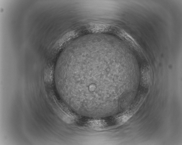 X0000087640499200705181529