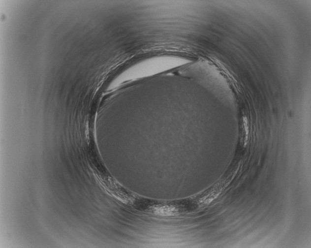 X0000087640500200705181529